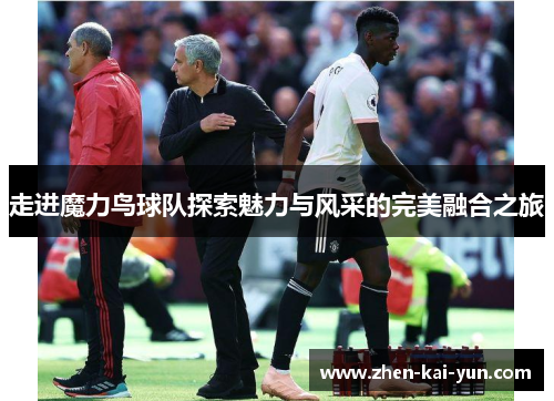 走进魔力鸟球队探索魅力与风采的完美融合之旅