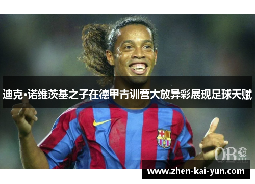 迪克·诺维茨基之子在德甲青训营大放异彩展现足球天赋